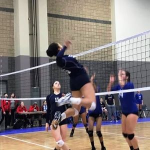 Meet your Posher, Dennis & dana